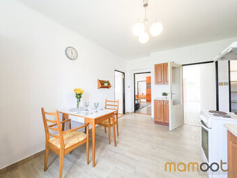Benátecká Vrutice, pronájem rodinného domu 3+1, 90 m2