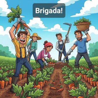 Brigáda pro studenty a dospělé