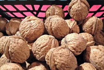 vlašské ořechy