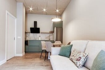 Pronájem bytu 1+kk – 28 m²