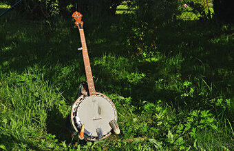 5-strunné banjo (systém Gibson)