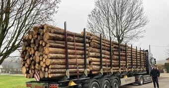 Palivové dřevo tvrdé i měkké -doprava zdarma do 70km od Brna