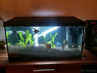 Akvarium vč.ryb, nových rostlin a substratu