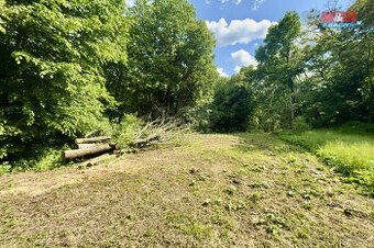 Prodej zahrady, 2923 m², Šarovy - 1