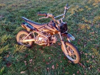 Pitbike 110 cm - 1