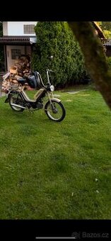 Babeta 210