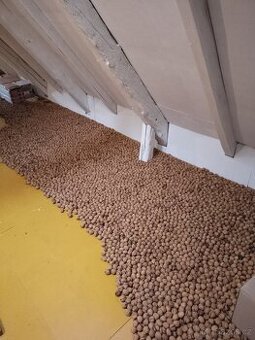 Nevyloupané vlašské ořechy