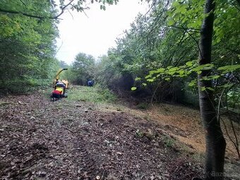 Rizikové kácení -Rekultivace pozemků