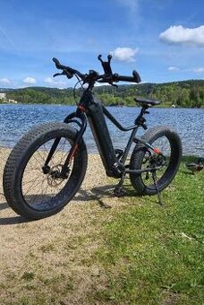 Leader Fox Braga Fatbike