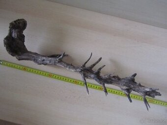 Kořen do akvaria 45cm aquascaping