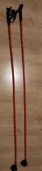 Hůlky na běžky 170 cm