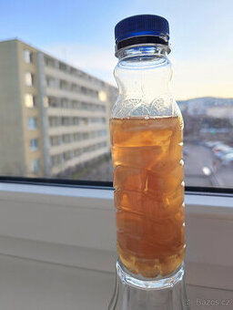 Čajová houba KOMBUCHA vč. matečného nálevu