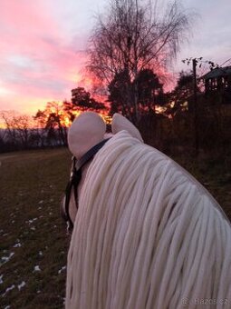 Hobby horse larden - 1