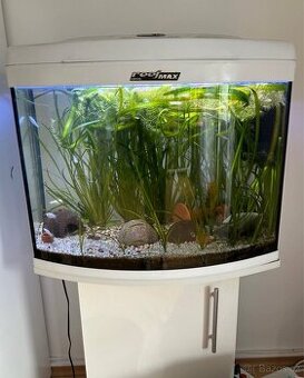 Akvarium ReefMax Auael 120 l