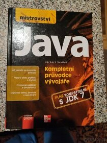 Mistrovství Java - 1