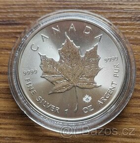 Stříbrná mince Elizabeth Canada Maple Leaf 2021