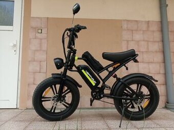 E mini FAT bike 20 "