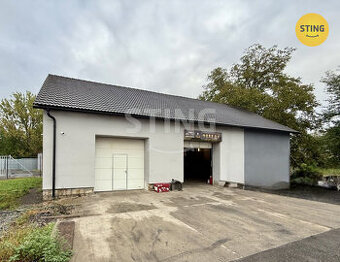 Pronájem komerčního prostoru 151 m² - Sviadnov, 133326