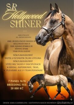 Připouštění QH hřebcem 7 panel N/N