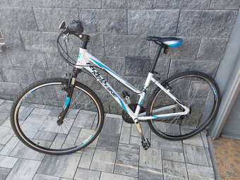 Rock Machine Crossride lady