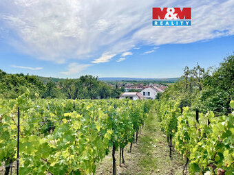 Prodej vinného sklípku s vinicí, 2254 m², Perná