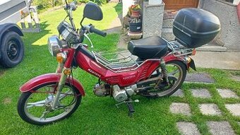 Kentoya Twin cup 50
