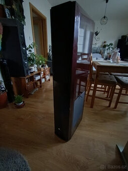 Pure Acoustics dream 77