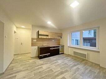 Pronájem bytu 3+1 Velká Bystřice - 1