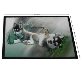 Kobereček - Sibiřský husky