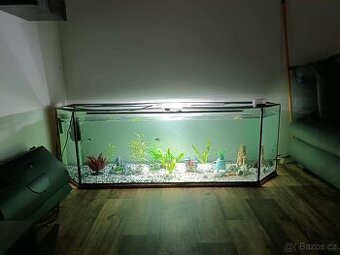Akvárium s filtraci