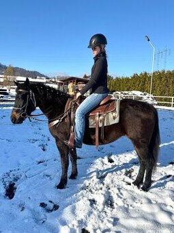 Kobyla 5 let na prodej