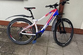 elektrokolo Crussis e-Largo 9.6-S