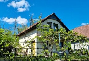 Prodej chaty s vinným sklepem a vinohradem 1107m2 v Mikulčic