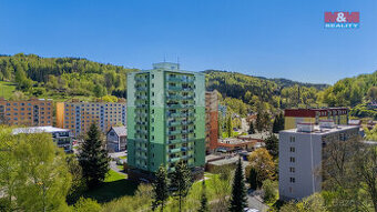 Prodej bytu 2+1, 54 m², Desná, ul. Krkonošská
