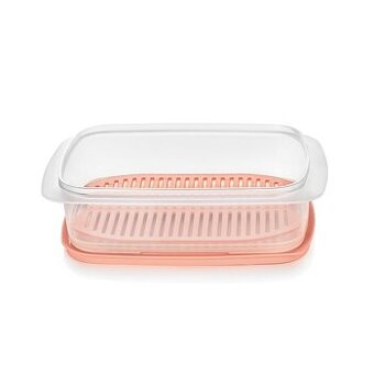 Tupperware - diplomat