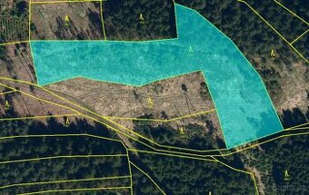 Lesní pozemek 5Kč/m2 k.ú. Velký Ježov 7.436m2