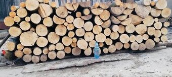 Prodám palivové dřevo za seriózní ceny tvrdé měkké kulatina