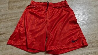 Kraťasy Nike Dri-FIT L