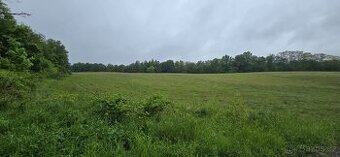 Prodej pole 19.020 m² Libošovice - Dobšice