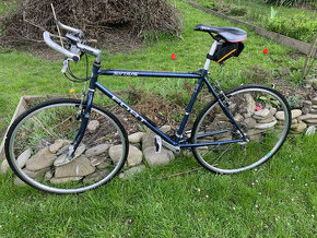 Pánské silniční jízdní kolo Fort Sirius