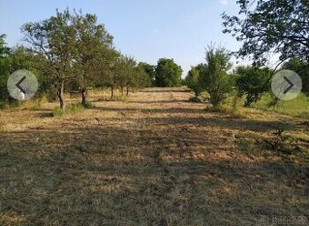 Nabidněte - Zahradu nebo pozemek