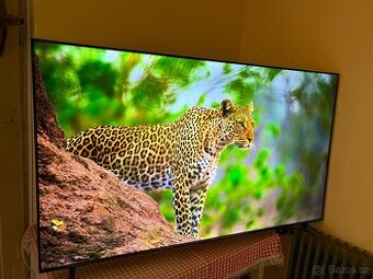4K UHD LED Smart Televize TCL 65P655 - 164 cm - Wifi - T2