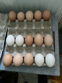 Nasadová vejce - 1