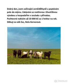 Nabídněte ornou pudu do pronájmu začínající farmářce