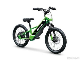 Kawasaki Elektrode 20 2025