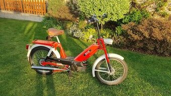 Babetta 207