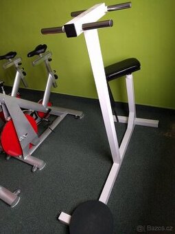 profesionální fitness stroj rotana