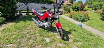 YAMAHA YBR 125 - 1