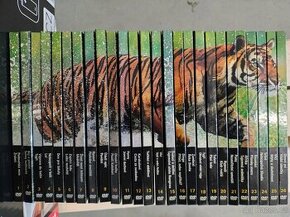 DVD série Natural Killers I