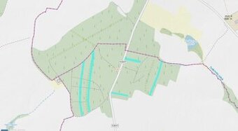 Lesní pozemky 24818 m², spoluvlastnický podíl 5/6, lokalita